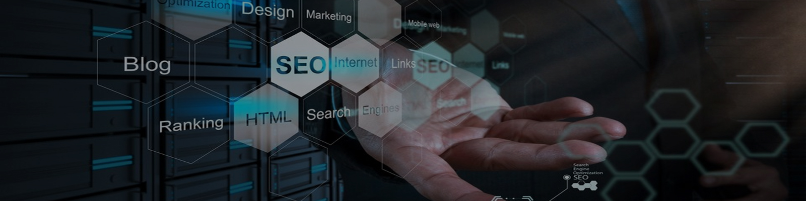 SEO in Delhi NCR